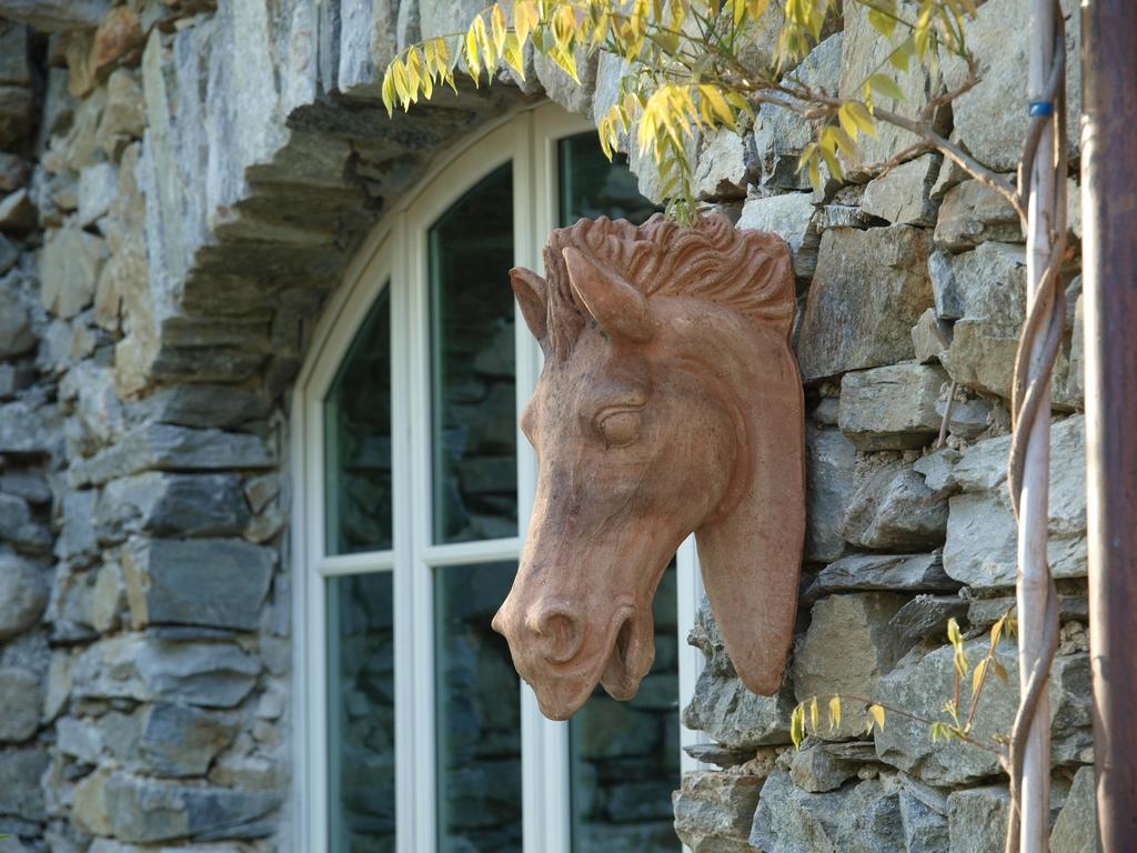 Park Hotel Villa Belvedere Cannobio Eksteriør billede