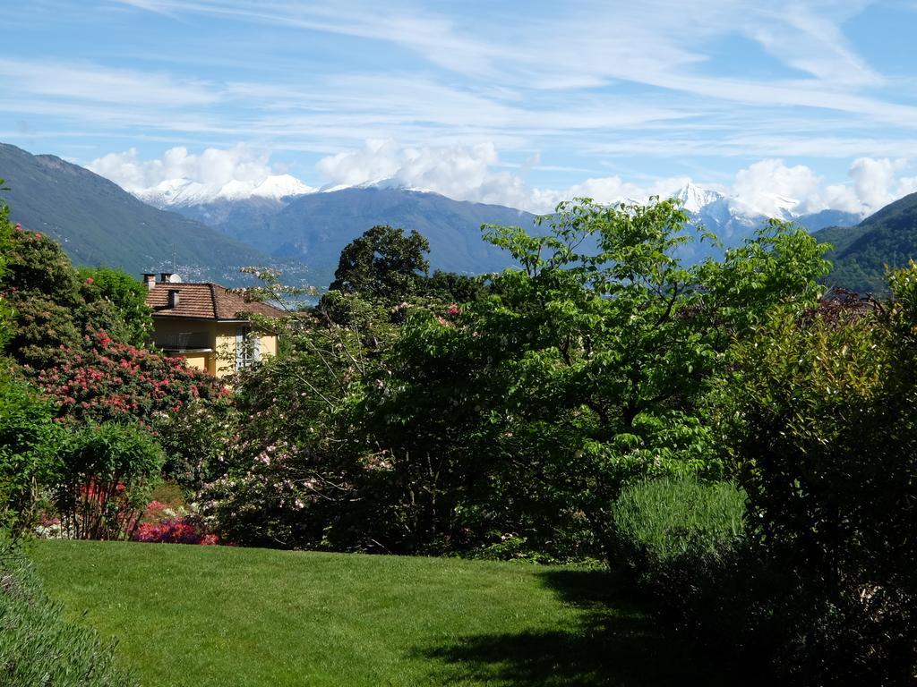 Park Hotel Villa Belvedere Cannobio Eksteriør billede