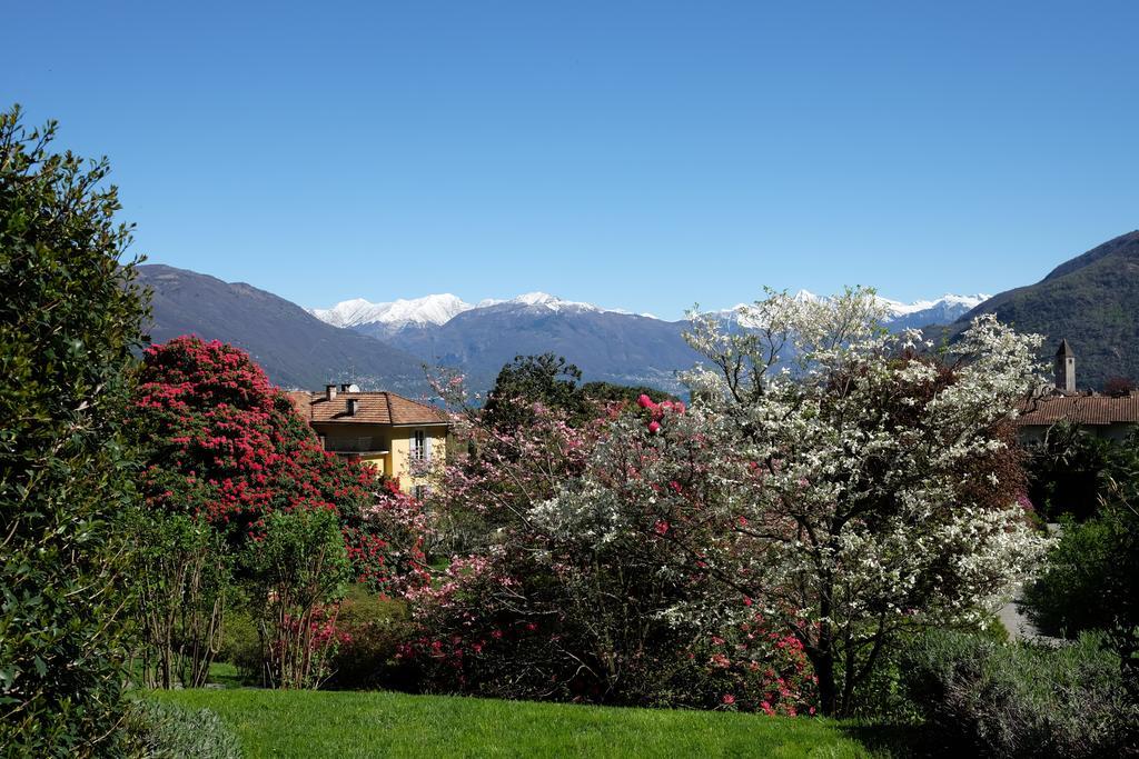 Park Hotel Villa Belvedere Cannobio Eksteriør billede