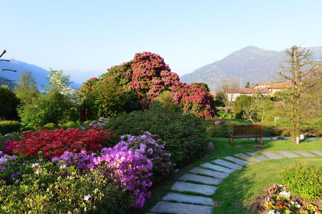 Park Hotel Villa Belvedere Cannobio Eksteriør billede