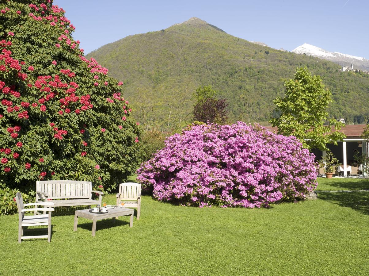 Park Hotel Villa Belvedere Cannobio Eksteriør billede